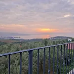 Elm Villa *
