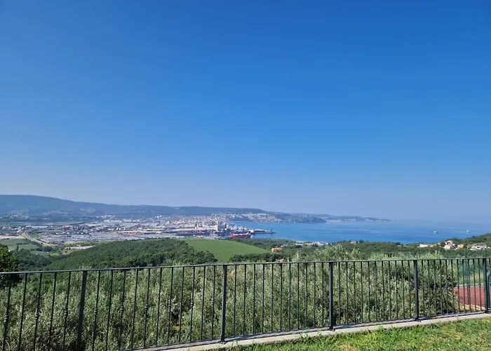 Elm * アンカラン